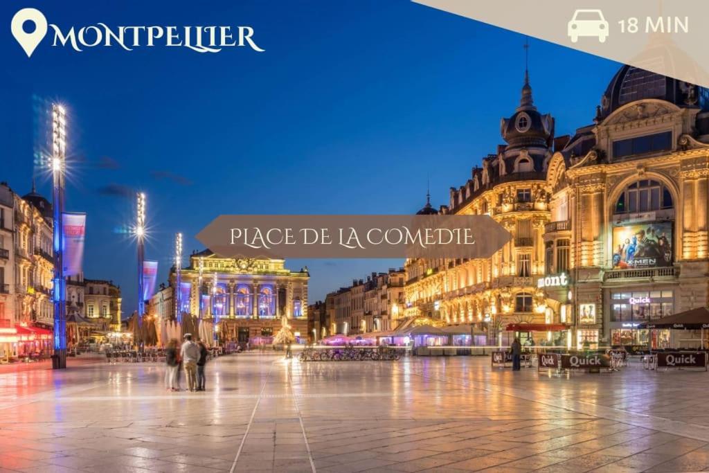 016- T2 Tropisme, Appart 1 Chambre,Clim,Wifi,Parking Монпелье Экстерьер фото